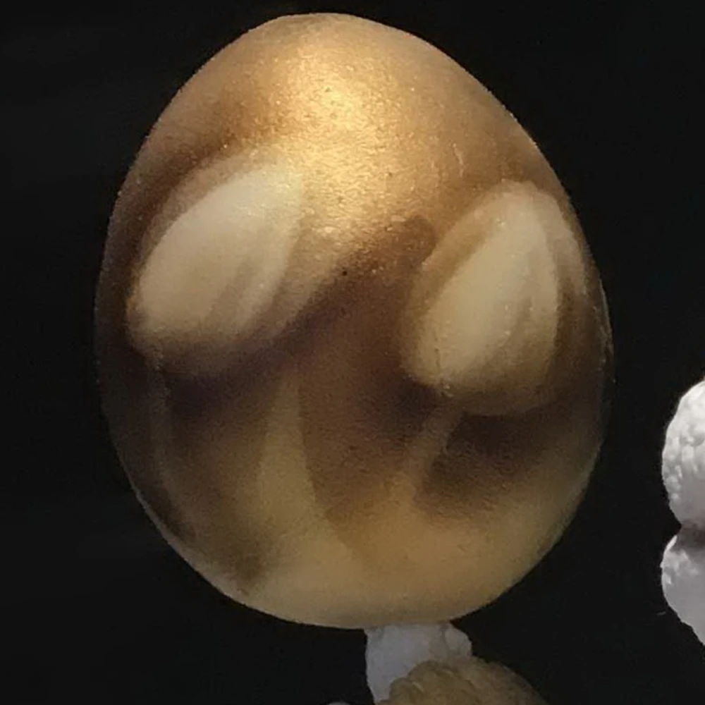 Edwin Weimer Tulips Stencil - Image 2