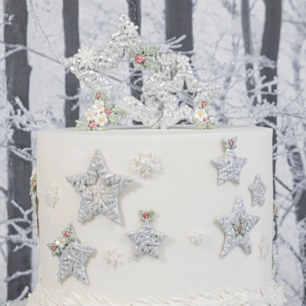 Karen Davies Wicker Stars Mould - Image 9